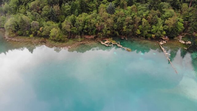 Aerial View of Turquoise Lake Shoreline and Dense Forest
