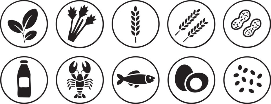 Collection of common food allergy icons simple vector symbols for dietary information and health awareness isolated on white
