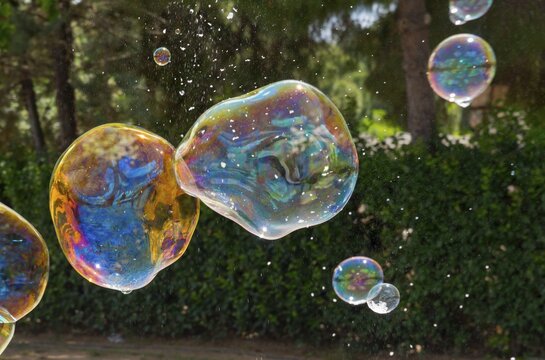 Colourful soap bubbles float in front of a green hedge in nature, Spain