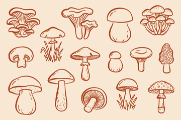 Obraz premium Hand drawn mushroom doodle vector set in minimal line art style. Collection of forest fungi including porcini, chanterelle, boletus, oyster mushroom, champignon, morel, amanita and wild mushrooms. Cle