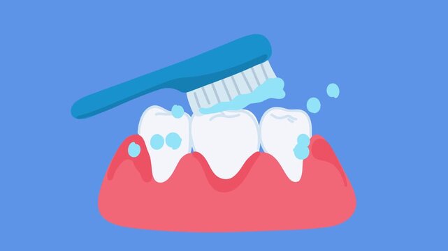 animation showing proper tooth brushing technique daily