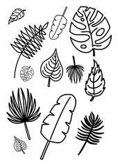 Fototapeta premium Set of continuous line art tropical leaves. Minimalist black outline monstera and palm frond botanical vector clip art.