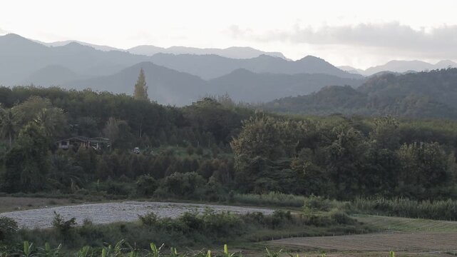 A scenic panoramic view of rural agricultural fields and farming land nestled against a lush tropical forest and majestic mountain range.