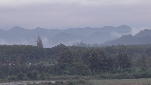 Beautiful heavy morning mist and fog rolling over a majestic tropical mountain range and green forest valley. Atmospheric nature landscape.