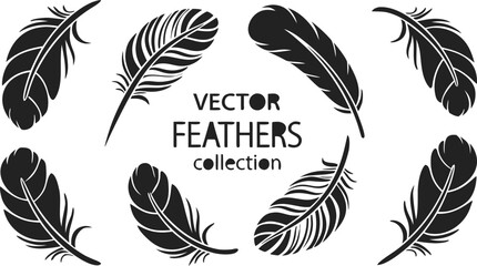 Vintage black feather vector illustration set with elegant detailed bird plumage icons isolated on a white background.Vintage black feather vector illustration set with elegant detailed bird plumage i © MdAnowar