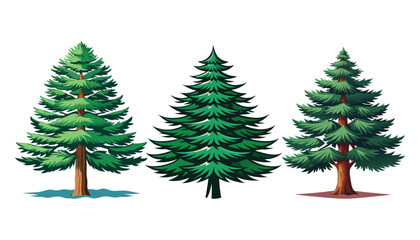 set of coniferous trees clipart vector illustration © Nayon