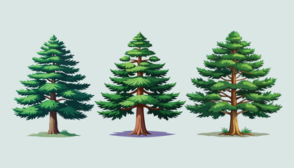 set of coniferous trees clipart vector illustration © Nayon