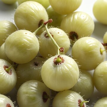 Fresh gooseberry fruits on white background.