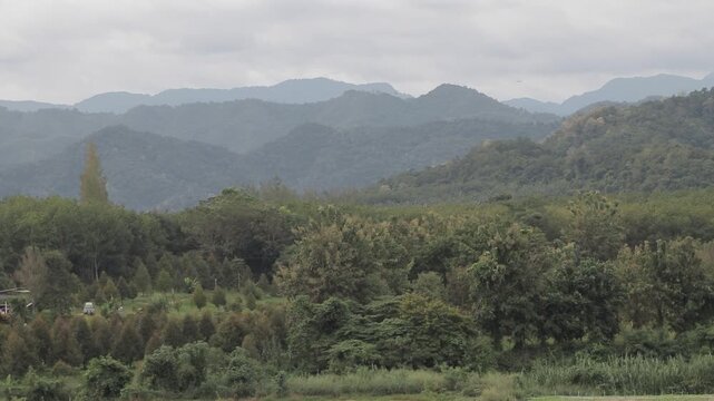 A scenic wide shot of lush green forest and agricultural trees nestled against a vast tropical mountain range under an overcast sky.