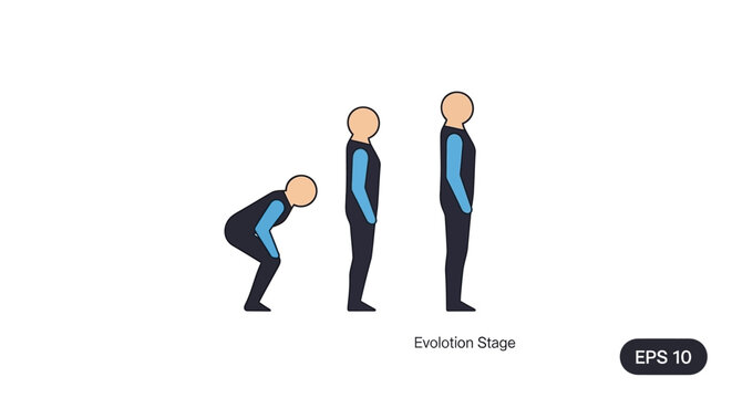 Simplified human evolution stages from ape to man.