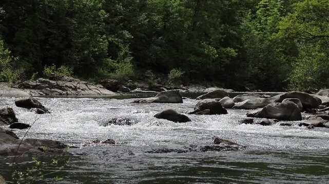 Stream with flowing fresh water, natural mountain environment