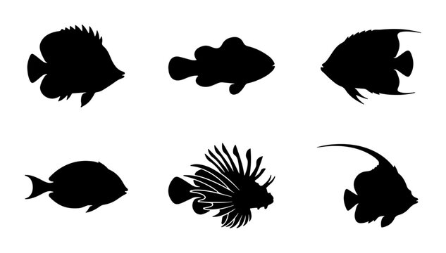 Tropical Fish Silhouettes, Marine Life Icons, Underwater Animal Vector Set