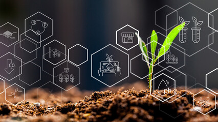 Smart farm technology grows plants with data and innovation for better crop management © fotofabrika