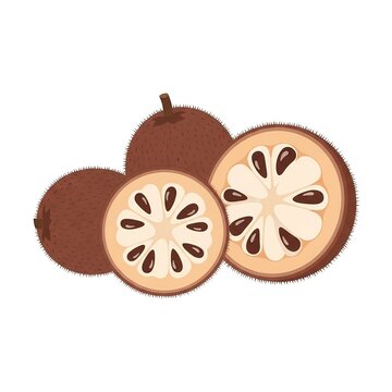 Set of whole and sliced velvet apple fruits, diospyros blancoi, isolated on white background
