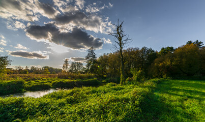 Pejzaż nad Rawką. © Grzegorz Komendarek