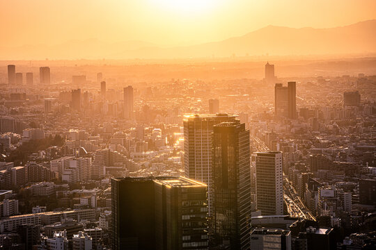 Golden Hour View over Tokyo from Shibuya Sky, Japan