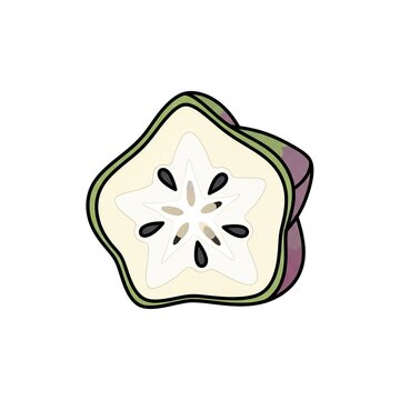 Cross section of a purple star apple or caimito fruit, showing its characteristic starshaped seed pattern and creamy white pulp, flat vector illustration