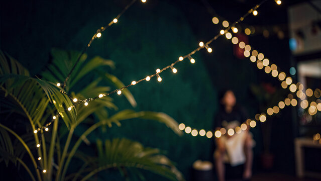 Foliage framing glowing string lights creating warm festive bokeh effect