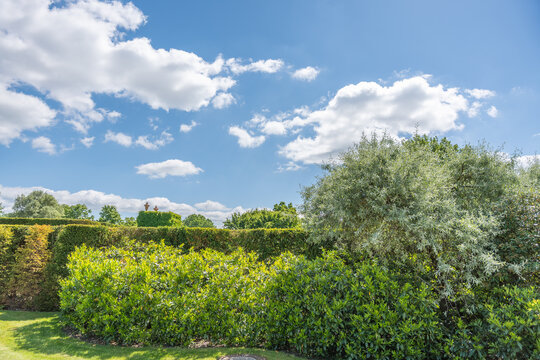 Layered shrubs, trimmed hedges, silver willow foliage, and bright sky form a lush garden border. The scene shows summer greenery, landscaping, soft clouds, and open park light.