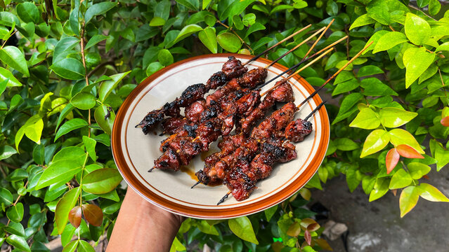 close up view of goat or beef satay served on a plate and holding by the hand. men, male, man. green leaves on the background. eid al adha, idul adha. sate kambing, sapi. indonesian food or culinary. 