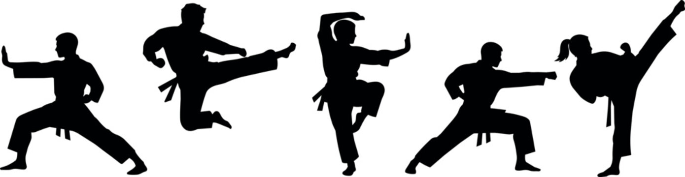 Martial arts silhouettes showcasing dynamic karate poses and kicks