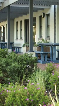 Vertical video: Panning camera revealing garden bed shrubs and purple blooms, showcasing blue bench