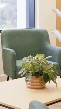 Vertical video: Starting drift, camera revealing lounge decor, showing plant in terracotta pot