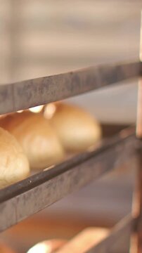 Vertical video: Camera tracking three golden-brown rolls on metal rack in bakery, showing color