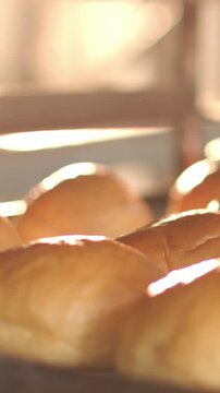 Vertical video: Pushing cam, moving as backlight shifting on bakery tray, showing rolls' glossy top