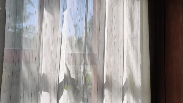 Light white sheer curtains hanging in front of a wooden window with bright morning sunlight filtering through, creating a calm and peaceful domestic atmosphere in a minimalist interior.