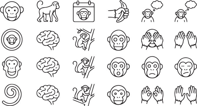 Monkey and Chimp Icon Set, Minimalist Vector Wild Animal Symbols with Banana, Brain, Climbing Monkeys, and Three Wise Monkeys Expressions, Monoline Design Elements on White Background