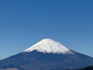 Fototapeta premium 青空の下にそびえる雪化粧の富士山