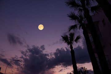 Full Moon with urban silhouettes. © astrosystem