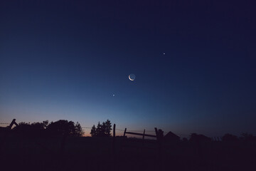Morning old Moon with stars, planets and rural countryside tree silhouettes. © astrosystem