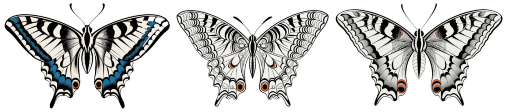 A trio of regal butterflies, showcasing intricate wing patterns with blue and orange accents on black and white canvases