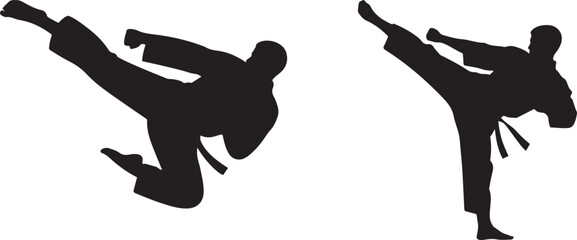 karate martial arts .Silhouette vector illustration © Misho x Mamun