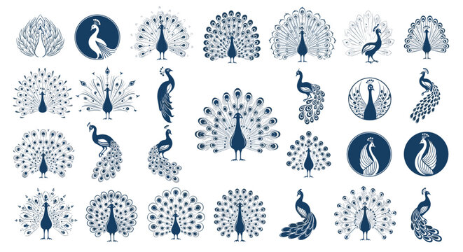 Large collection of peacock illustrations including full birds with open tails and detailed logo marks, perfect for elegance and luxury branding work.