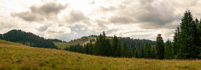 Fototapeta premium Panoramic view of Velka Fatra mountains with rolling grassy meadows and dense evergreen coniferous forest landscape