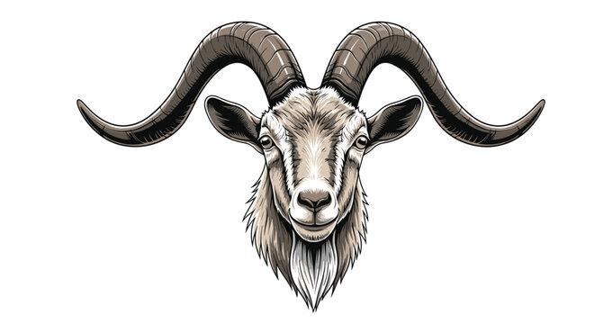 Realistic color illustration of a goat head with long curved horns and a beard, looking directly at the viewer on a clean white background.