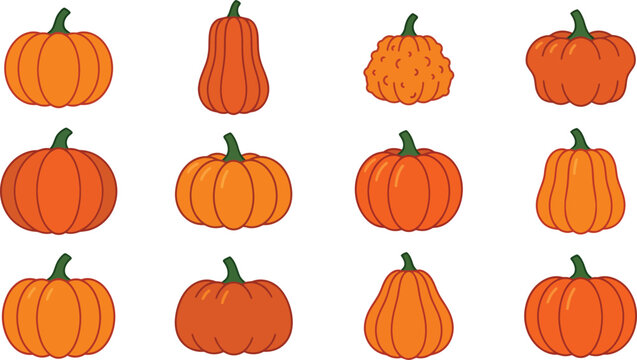 Collection of various orange pumpkins isolated on white background for fall season