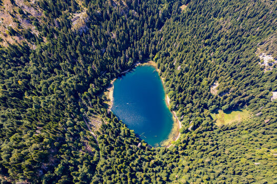 Aerial view of Zabojjsko lake in Durmitor national park Montenegro. Top down drone view of heart shaped blue lake surrounded by dense green pine forest in mountains