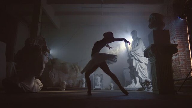 Beauty of graceful ballerina dancing in darkness, silhouette of beautiful dancer. Ballet performance on stage with ancient statues, lady in tutu and pointe shoes enjoying life and expressing talent