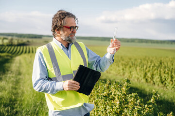 Fototapeta premium Middle-aged man in reflective safety vest examines test tube while holding tablet in vineyard, lush green fields and blue sky visible in the background