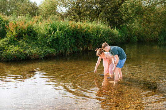Children searching in a shallow stream during summer