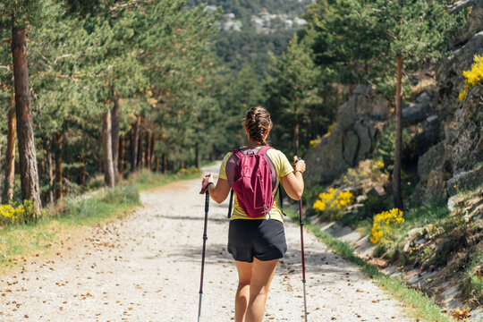 Woman hiking on a sunny forest trail with trekking poles