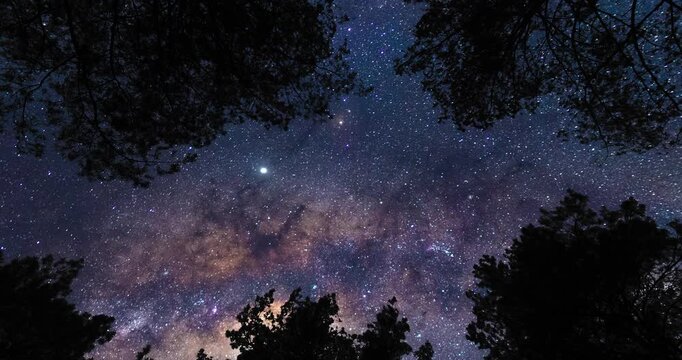Low-angle view on Milky Way from forest. Timelapse shot, Earth rotation concept. Camera is zooming out. Wide angle lens shot
