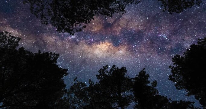 Bottom view on Milky Way from forest. Timelapse shot, Earth rotation concept. Camera is moving top and right. Wide angle lens shot