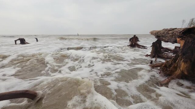 Nature scene: Muddy ocean waves on sandy Sundarbans shoreline driftwood