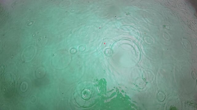 Slow motion rain drops drip into shallow green water, nature background