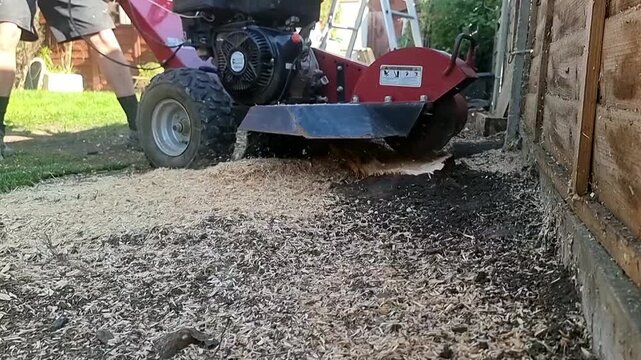 Powerful machinery grinding tree stump root for property landscaping with flying sawdust slow motion